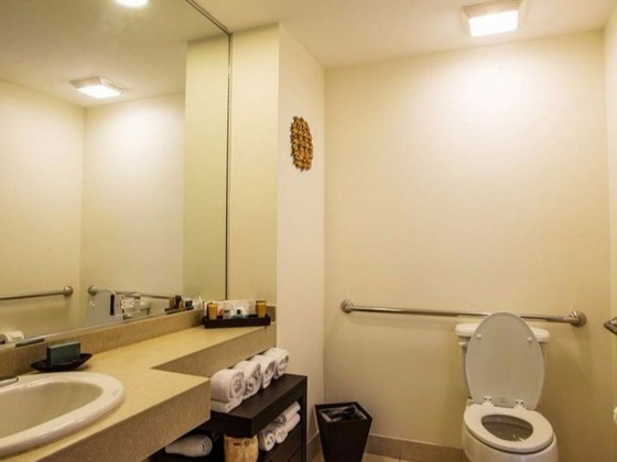 Colocação de Corrimão de Alumínio Banheiro São Vicente - Corrimão para Banheiro Deficiente